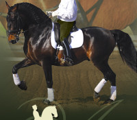 Andalusian Dressage Partners