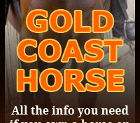Gold Coast Horse