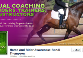 Horse and Rider Awareness Cover