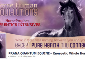 Horse Human Soulutions Cover