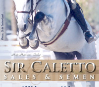 Sir Caletto