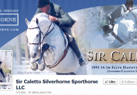 Sir Caletto Cover