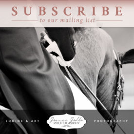 Newsletter Subscribe Graphic for Joanna Jodko Photography