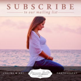 Newsletter Subscribe Graphic for Joanna Jodko Photography