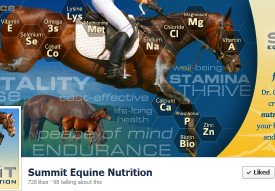 Summit Equine Nutrition Cover