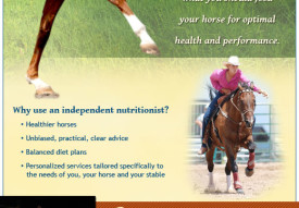 Summit Equine Nutrition Welcome Tab