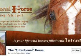 The Intentional Horse Cover
