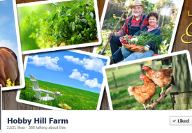 Hobby Hill Farm Cover