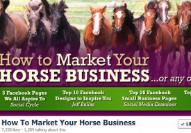 How to Market Your Horse Business Cover