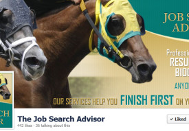 The Job Search Advisor Cover